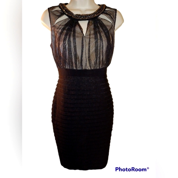 SIGNATURE BY SANGRIA Gorgeous Cocktail party Dress Size 6p - Picture 7 of 7